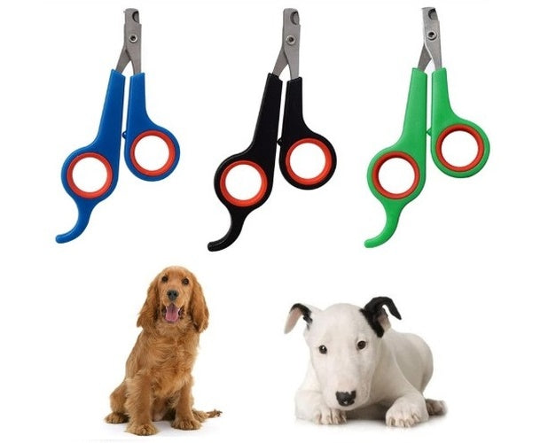 Kedi Köpek Tırnak Makası Renkli Poşetli (5286)