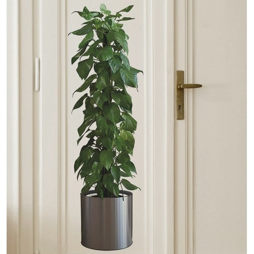 Saksılı Bitki Tasarımlı Yapışkanlı Sticker Resim 90*30 cm (5286)
