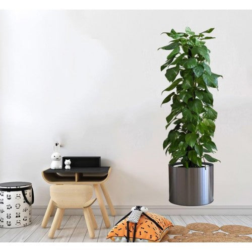 Saksılı Bitki Tasarımlı Yapışkanlı Sticker Resim 90*30 cm (5286)