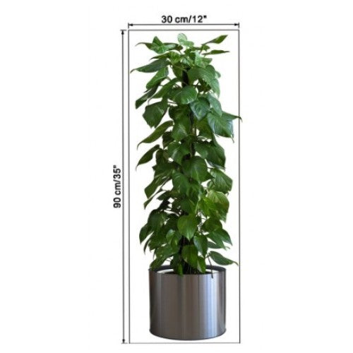 Saksılı Bitki Tasarımlı Yapışkanlı Sticker Resim 90*30 cm (5286)