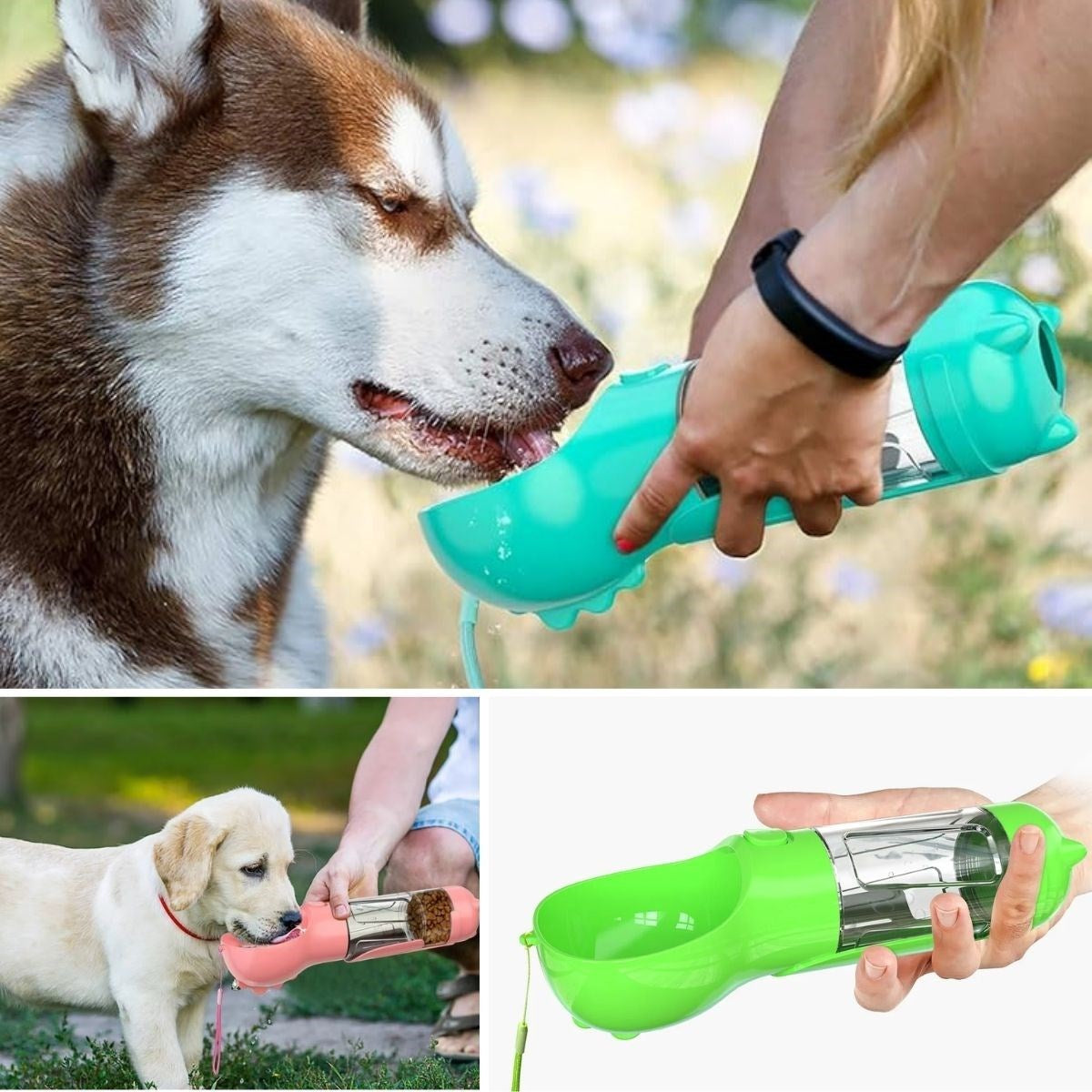 Taşınabilir Hazneli Mama Kaplı ,Kaka Poşetli Kedi,Köpek Suluğu-300ml (5286)