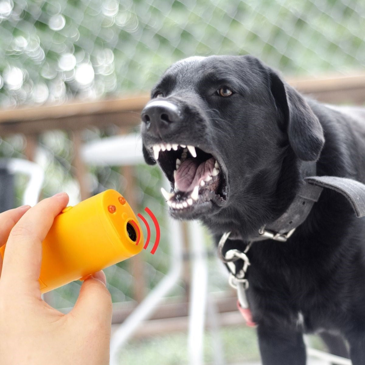 Ultrasonik Köpeksavar Köpek Kovucu Köpek Kornası Eğitim Cihazı (5286)