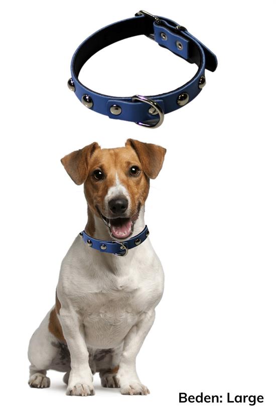 Yumuşak Dokulu Deri Köpek Gezdirme Boyun Tasması (Large) (5286)