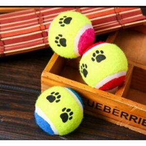 At Getir Köpek Eğitim Topu (5286)