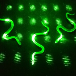 Şaka Yılan ve Kırkayak Karışık 36 Adet (5286)