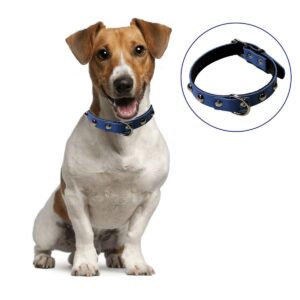 Yumuşak Dokulu Deri Köpek Gezdirme Boyun Tasması (Large) (5286)