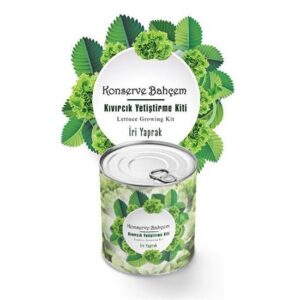 ANKAVERSE® Konserve Bahçem Evde Konservede İri Yapraklı Kıvırcık Yetiştirme Kiti