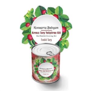 ANKAVERSE® Konserve Bahçem Evde Konservede Fındık Turp Yetiştirme Kiti