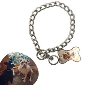 ANKAVERSE® 65 cm Uzunlukta Zincir Model Köpek İçin Boyun Tasması