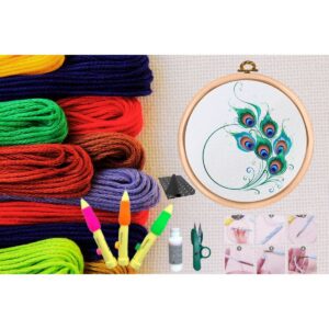 Punch Seti Nakış Seti Kasnaklı Kendin Yap Seti Seri 15