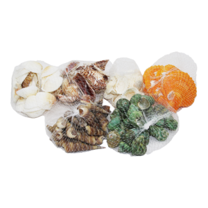 FİLELİ MİDYE DENİZ KABUK VAZO TAŞI RENKLİ MİX (5286)