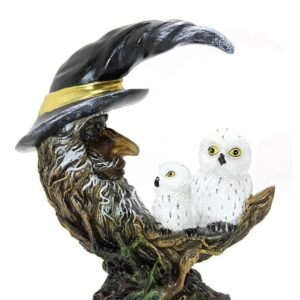 Ay Ağacı Baykuş Ledli